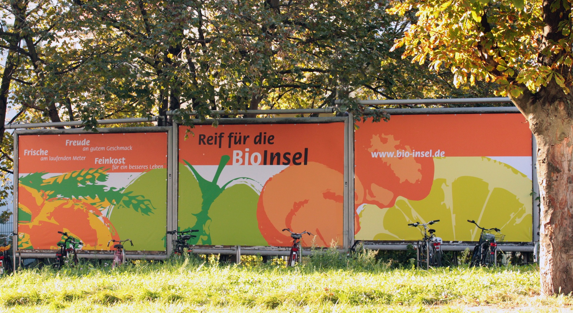 Werbung mit Großen Plakaten vor der BioInsel - Typoly